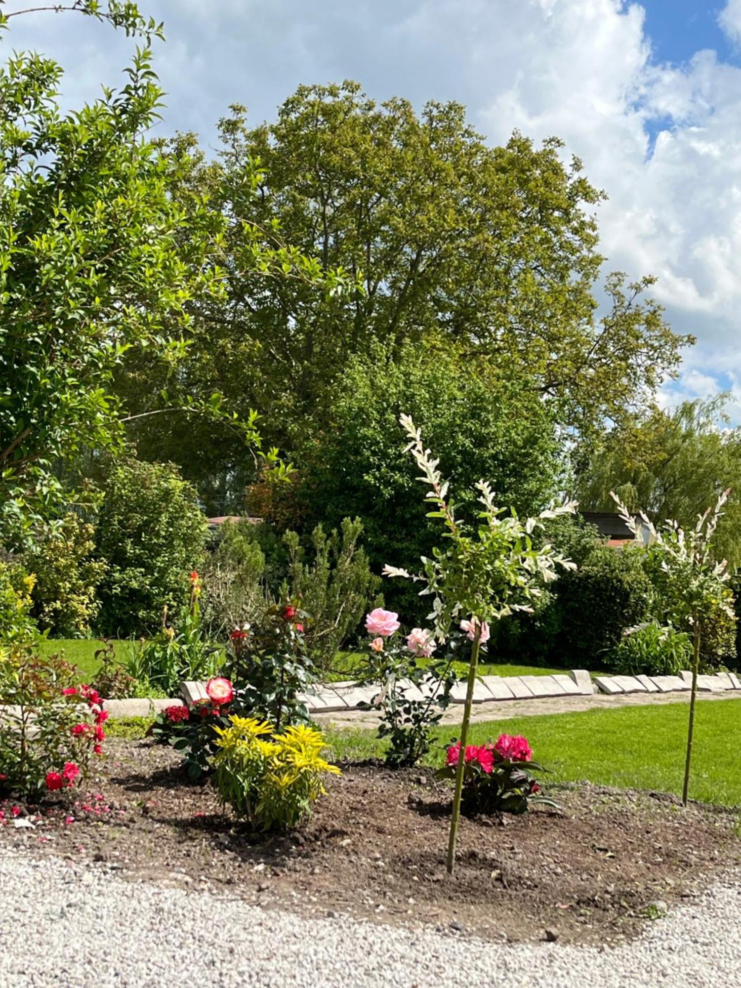 L Hirondelle 3 Bed & Breakfast Erondelle Eksteriør bilde